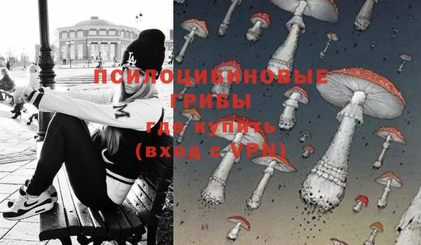 прущая мука Вяземский
