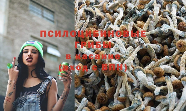 гашишное масло Абаза