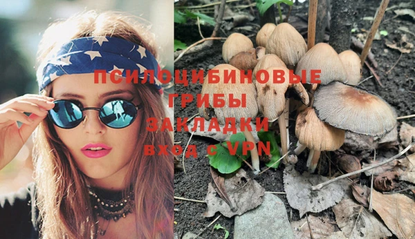 эйфоретик Абинск