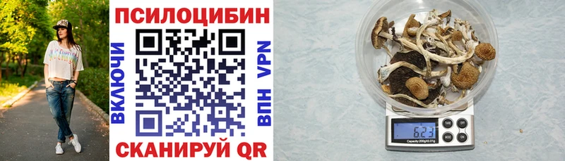 Галлюциногенные грибы GOLDEN TEACHER  Сызрань 